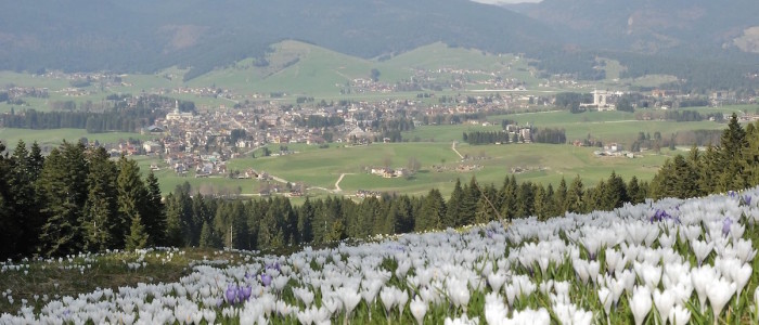 Vacanza-Altopiano-di-Asiago